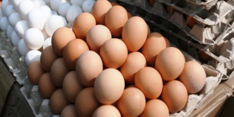 Ресейлік жұмыртқалар кері қайтарылды