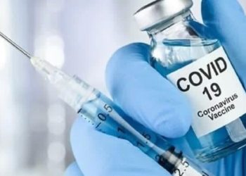 Түркістан облысы жасыл аймақта