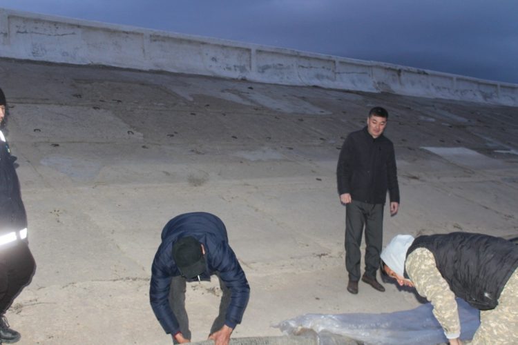 Созақ ауданында балық шаруашылығы қарқынды дамып келеді