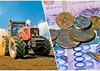 Бизнес ашу үшін ауыл тұрғындарына несие беріледі