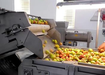 Шымкентте жеміс-көкөністі қайта өңдейтін екі кәсіпорын ашылады