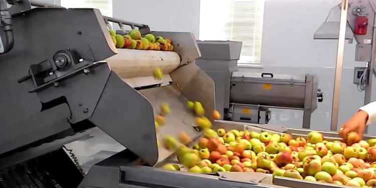 Шымкентте жеміс-көкөністі қайта өңдейтін екі кәсіпорын ашылады