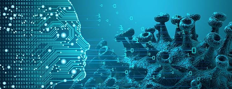 Шымкентте өткен тәулікте коронавирус инфекциясынан 14 адам емделіп шықты