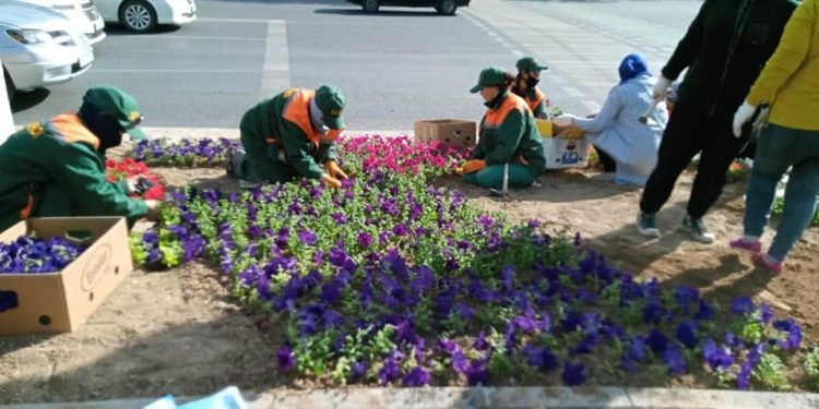 Шымкентті көріктендіру жұмыстары жалғасуда