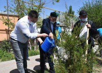 Түркістан қаласында сенбілікте 150 түп ағаш көшеті отырғызылды