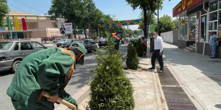 Әл-Фараби ауданында ағаш түптері әктеліп, гүл көшеттері отырғызылды