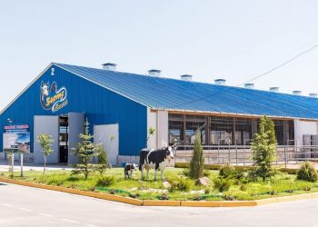 Ордабасы ауданына 7,5 млрд. теңгенің инвестициясы тартылған