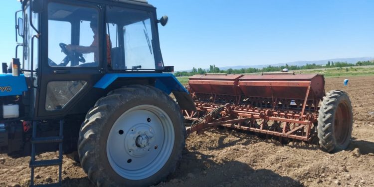 Түлкібас ауданында алғашқы рет соя егілді