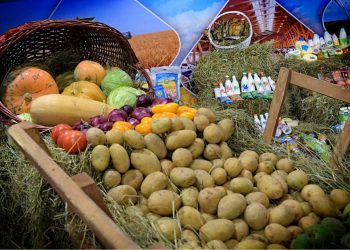 Сарыағаш ауданында өңірлік өнім көлемі 175 млрд теңгеге жеткен