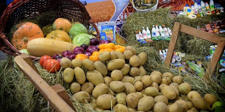 Сарыағаш ауданында өңірлік өнім көлемі 175 млрд теңгеге жеткен