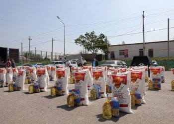 Түркістандық депутат 100 отбасына азық-түлік таратты