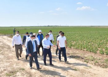 Алтынтөбе тұрғын алабында қарқынды бау шаруашылығы дамып келеді