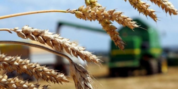 Түркістан облысында егістік жерлерді жеңілдікпен қаржыландыруға 1 млрд. теңге бағытталды