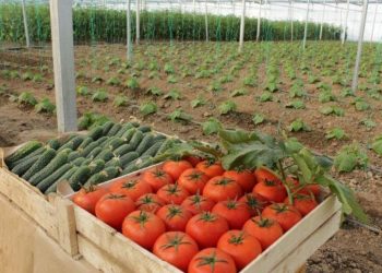 Түркістан: Сарыағаш ауданында биыл 24,7 млрд теңгенің инвестициялық жобалары жүзеге асады