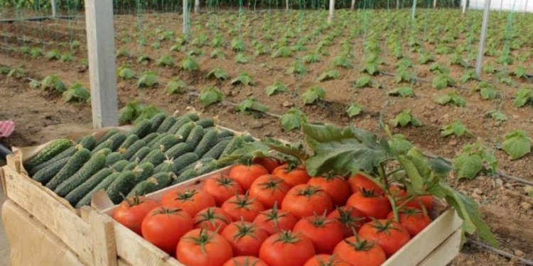 Түркістан: Сарыағаш ауданында биыл 24,7 млрд теңгенің инвестициялық жобалары жүзеге асады