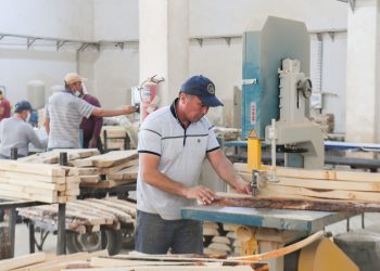 Сауран ауданында жаңа өндіріс орындары ашылады