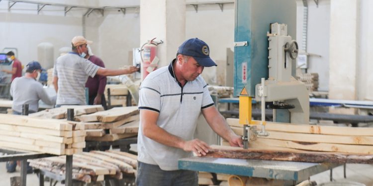 Сауран ауданында жаңа өндіріс орындары ашылады