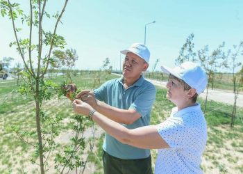 Ғалымдар Түркістанның «Жасыл аймағын» құру бойынша өз ұсыныстарын білдірді 
