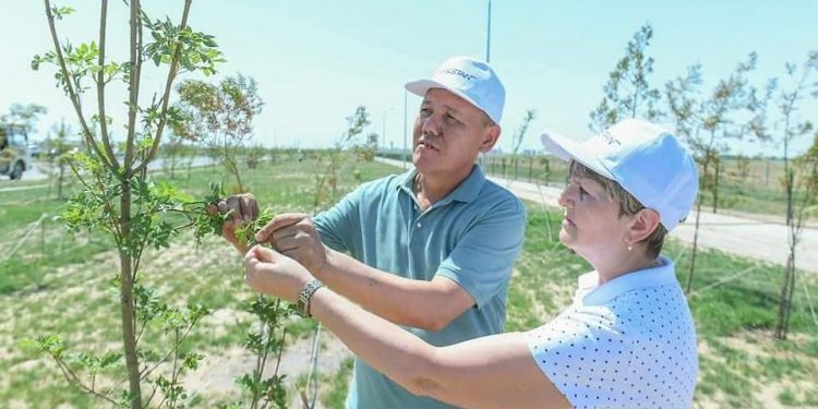 Ғалымдар Түркістанның «Жасыл аймағын» құру бойынша өз ұсыныстарын білдірді 
