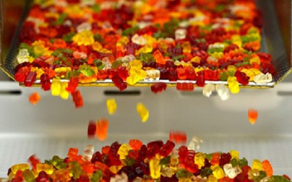 Түркістан: Мақтаарал ауданында мармелад өндіретін фабрика іске қосылады