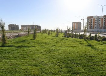 Түркістан: Жасыл желекке жауаптыларға жүктелген міндет еселенді