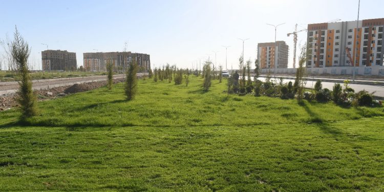 Түркістан: Жасыл желекке жауаптыларға жүктелген міндет еселенді