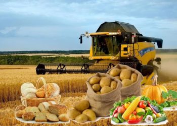 Шымкентте ауыл шаруашылығы бағытында 8 жоба іске қосылды