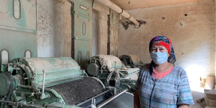 Шымкентте кәсіпкер әйелдердің саны артып келеді