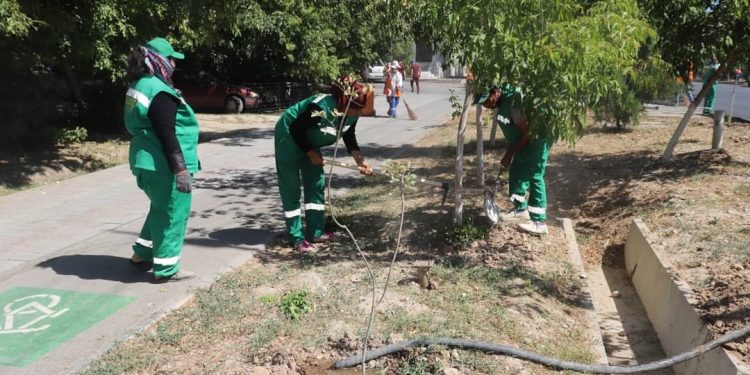 Әл-Фараби ауданында ағаш суғару жұмыстары қарқын алды