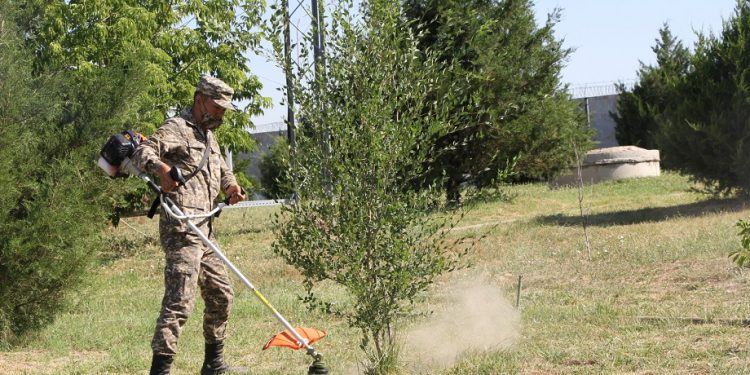 Шымкент : Әскерилер экологияны жақсартуға үлес қосты