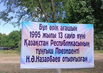 Түркістан: Сауран ауданында Елбасы еккен жеміс ағашы мәуелі баққа айналды