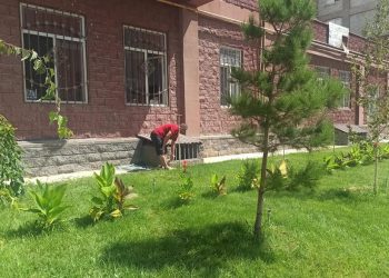 Шымкент: Қаратау ауданында тұрғындар көгалдандыруға үлес қосуда