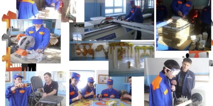 Бес жылда кәсіптік білімнің 42% дуальды оқытуға көшеді