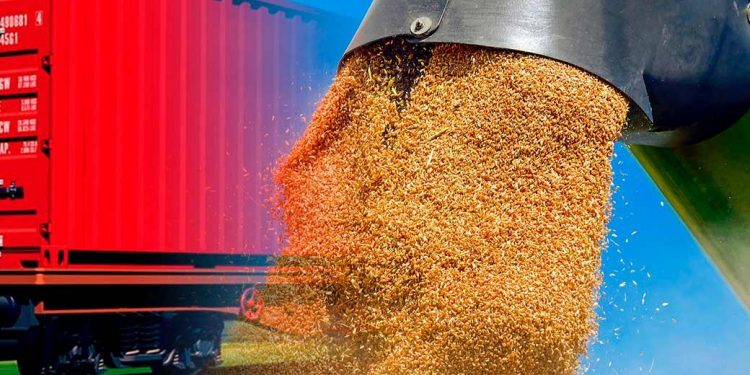 Қазақстан бидай мен ұнды ауған нарығына қайта шығара бастады