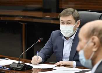 Қала әкімі аудан белсенділерімен кездесті