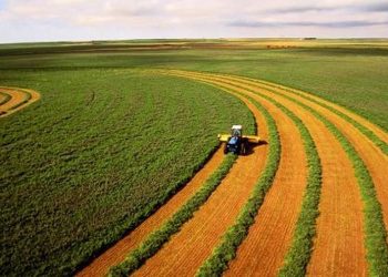 Ауыл шаруашылығы министрлігі 96 миллион гектар жерді тексерді