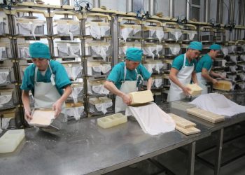 Жамбыл облысында 25 мыңға жуық жұмысшының жалақысы өсті