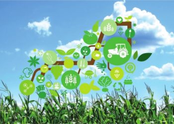 Қазақстанда «Жасыл дәліз – 3» жұмысын бастады