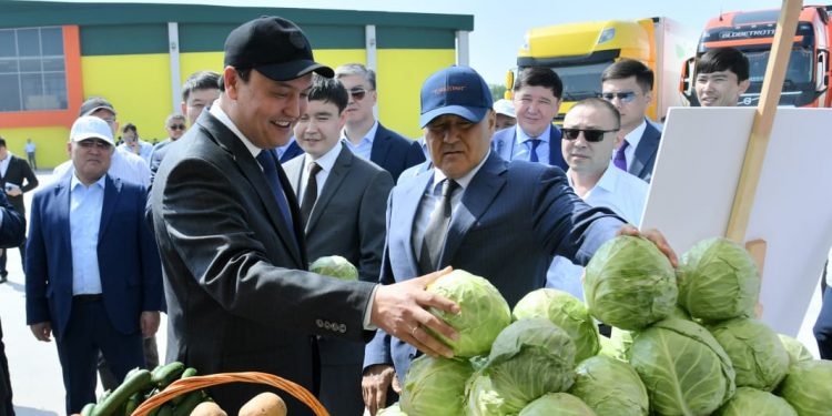 Түркістанда ауыл шаруашылығын дамыту бойынша республикалық семинар-кеңес өтті