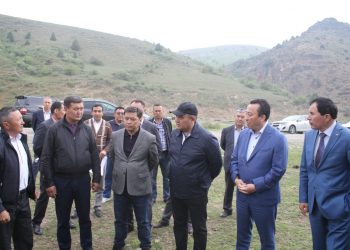 AMANAT: Жайылым жер тапшылығы шешілу үстінде