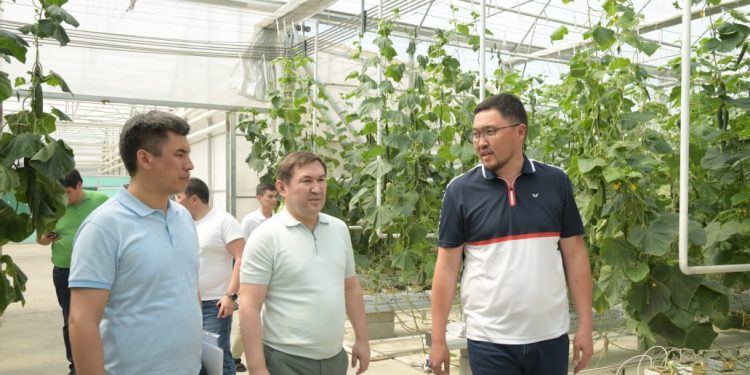 Шымкент әкімі ауыл шаруашылығы нысандарын аралады