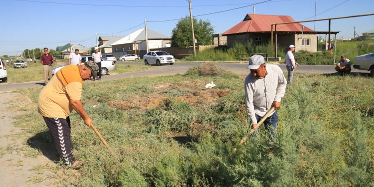 Түркістан: Мақтааралда 1548 адам республикалық сенбілікке қатысты