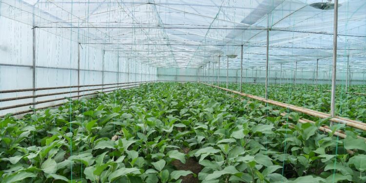 Түркістан: Ордабасы ауданында үйіргелік жер үлесі артады