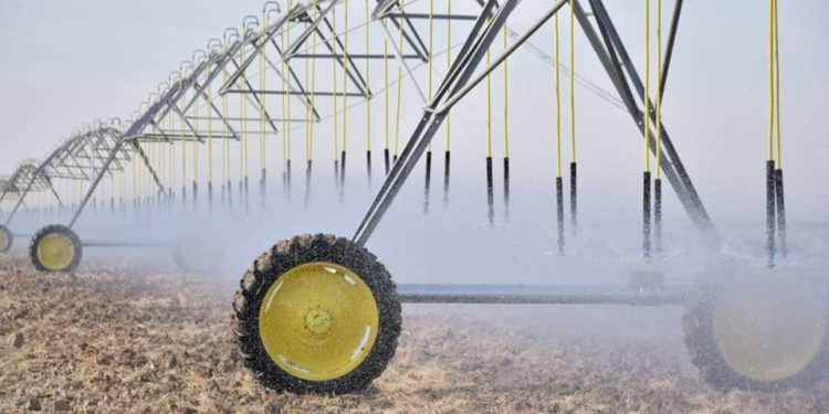 Жол карта аясында егіс алқаптарының ауқымы кеңейген