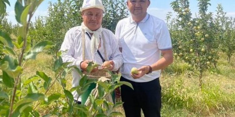 Шымкенттік азамат 62 жасында жұмысқа жолданды