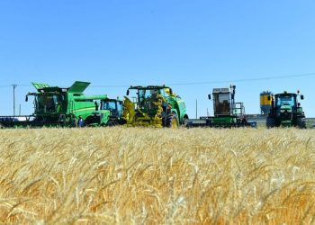 ТҮРКІСТАН ОБЛЫСЫНДА АУЫЛ ШАРУАШЫЛЫҒЫ ӨНІМІНІҢ КӨЛЕМІ АРТТЫ