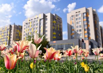 Шымкент: Бас жоспардың нәтижесінде 5 жылдан кейін бұл мүлдем басқа қала болады