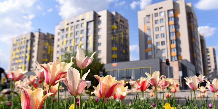 Шымкент: Бас жоспардың нәтижесінде 5 жылдан кейін бұл мүлдем басқа қала болады