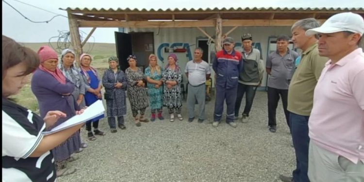 ТҮРКІСТАН ХАЛҚЫ МЕМЛЕКЕТТІК ЭКОЛОГИЯЛЫҚ САРАПТАМАНЫ ЖҮЗЕГЕ АСЫРУ ПРОЦЕСІНЕ ҚАТЫСУДА