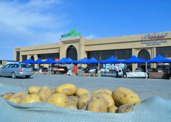 ТҮРКІСТАН: «ЭКОБАЗАРДА» ЖӘРМЕҢКЕ ӨТІП ЖАТЫР